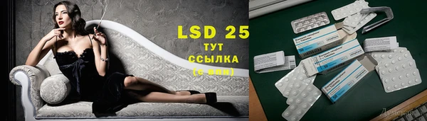 ешки Алзамай