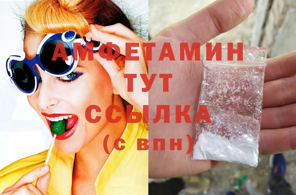 молекула духа Алексин