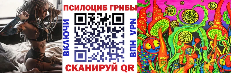 kraken зеркало Сольвычегодск Галлюциногенные грибы прущие грибы
